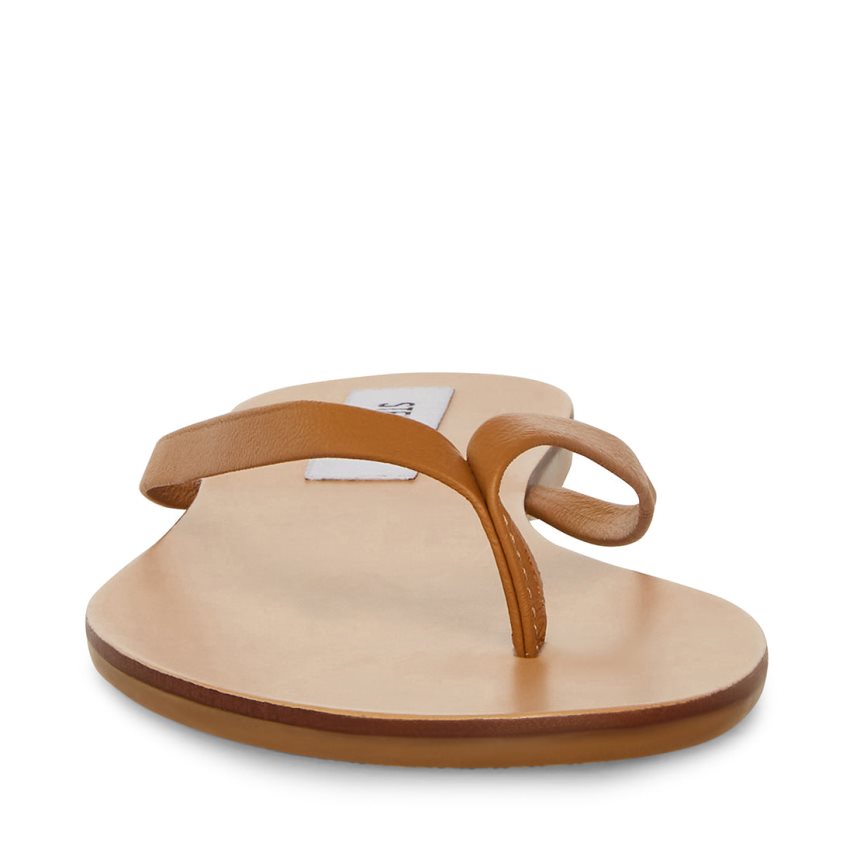 Chanclas Steve Madden Image Cuero Mujer Marrones | ES ZS912S